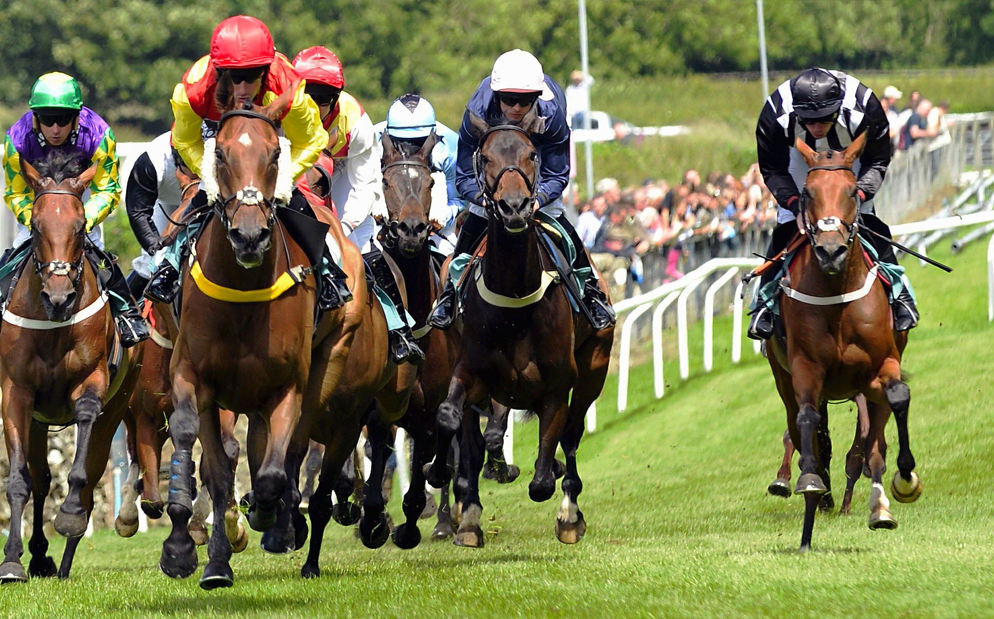 Cartmel Races